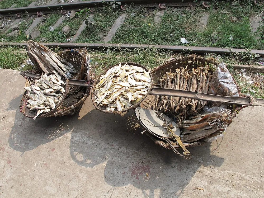 Baskets of sun-dried fish (shutki) at a market in Chittagong, Bangladesh